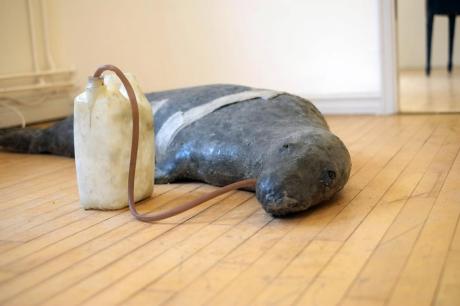 893753_10151373569948587_1434084885_o